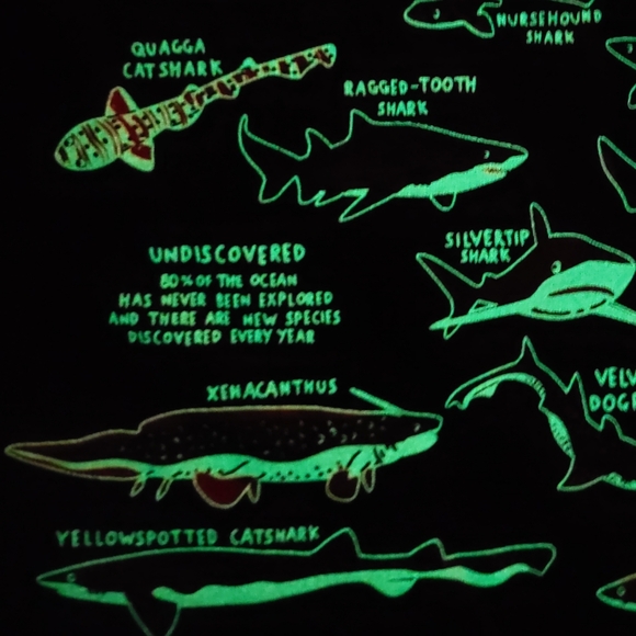 NWT GITD shark tee - Picture 5 of 16